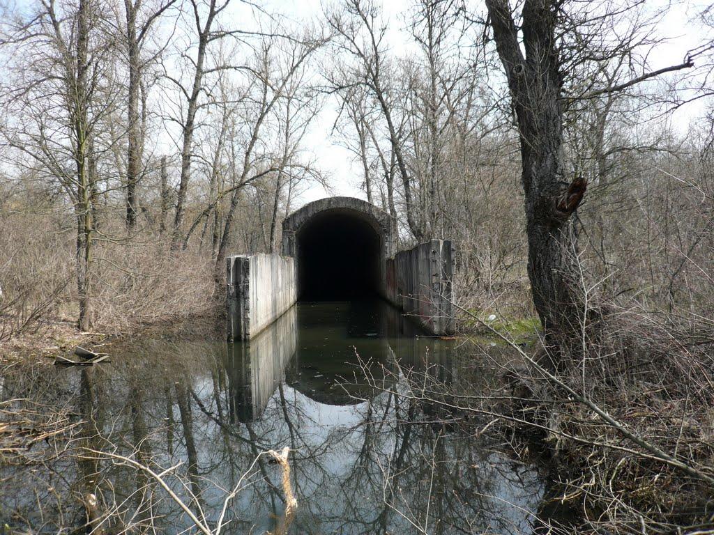 Лісники з panoramio.com - Лісники