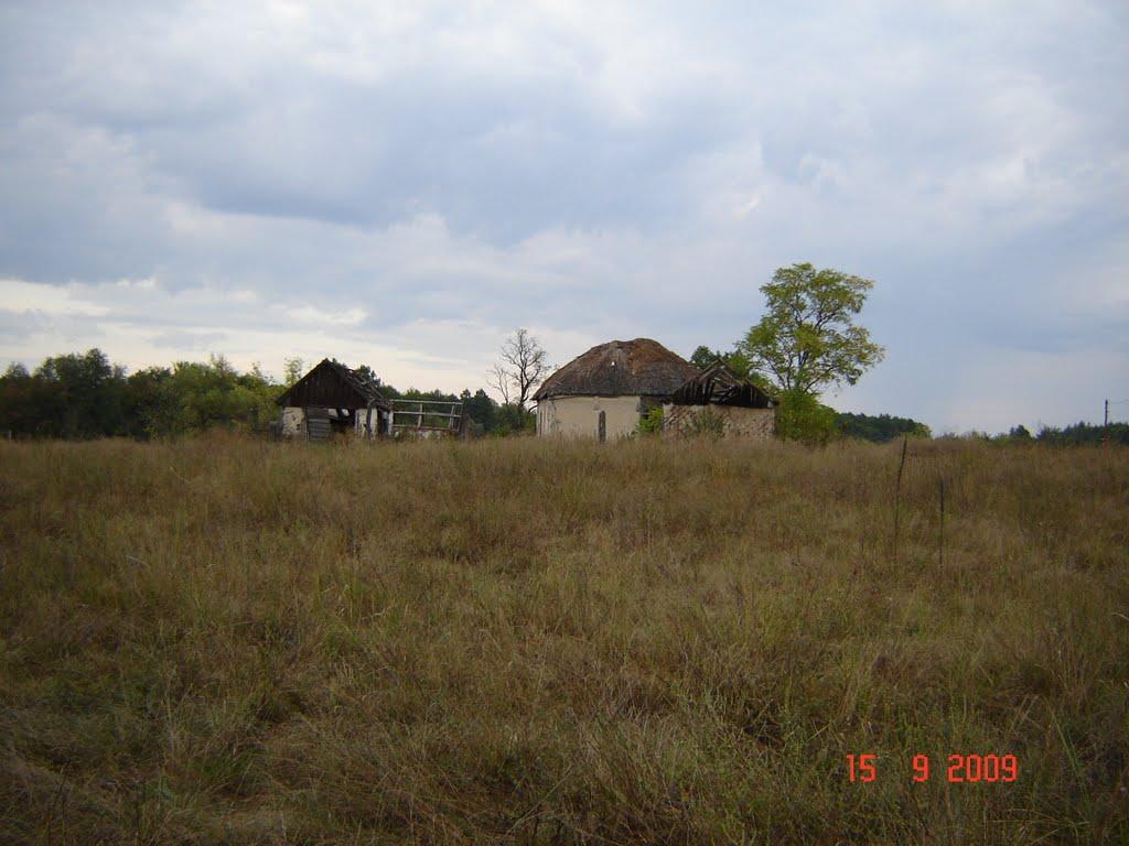 Масютівка з panoramio.com - Масютівка