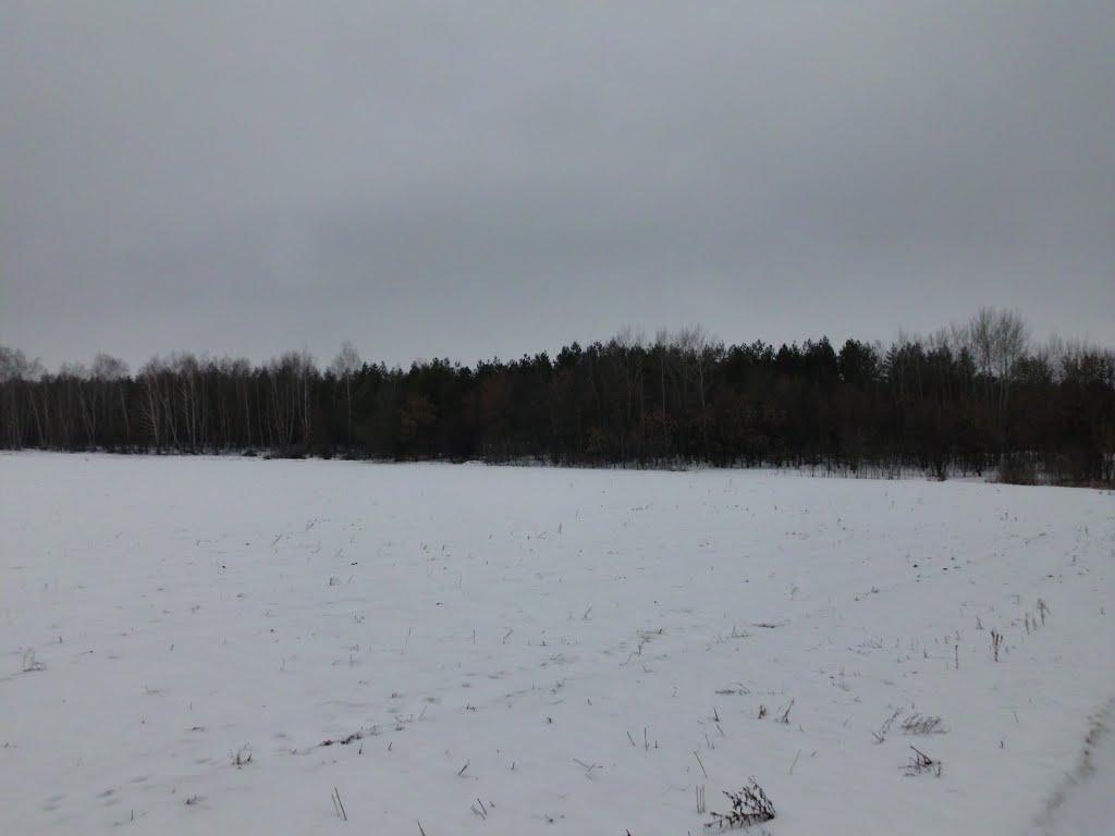 Жовтневе з panoramio.com - Жовтневое