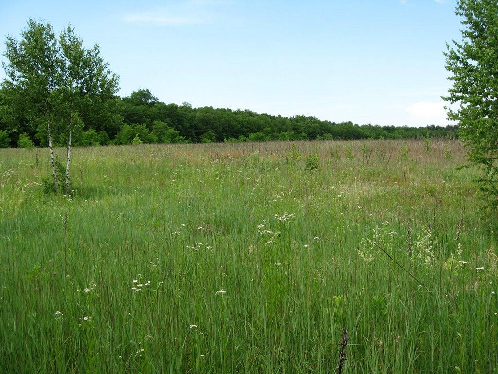 Кролевець з panoramio.com - Кролевець