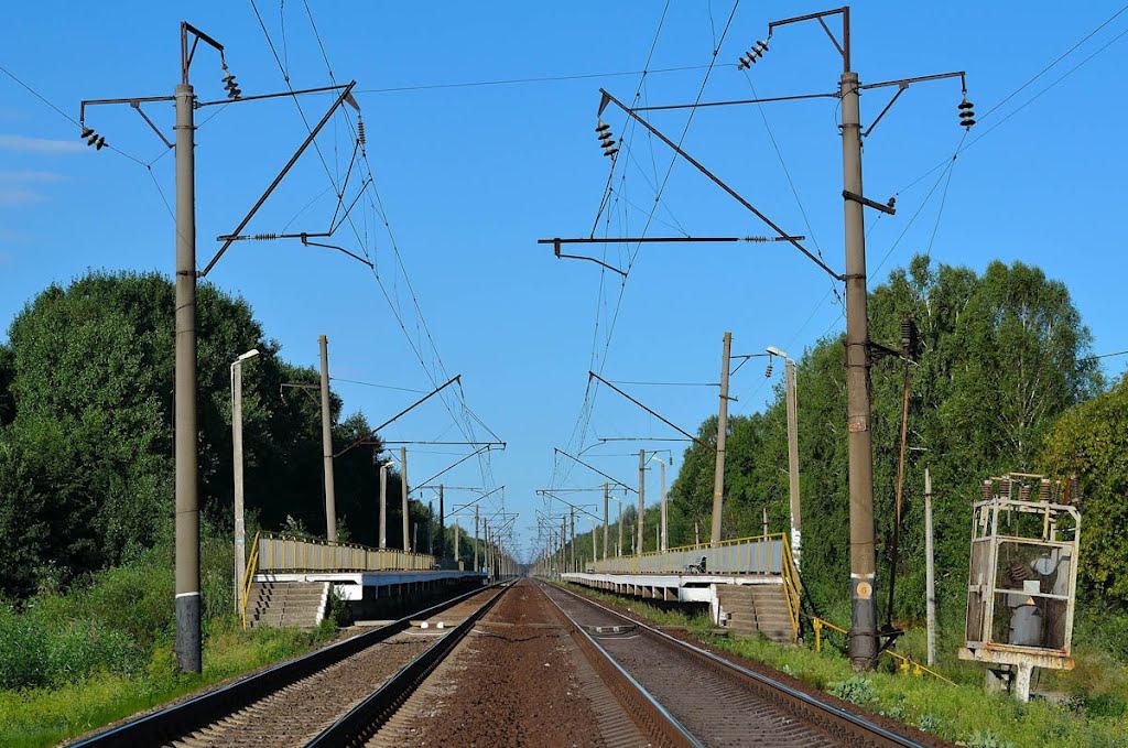 Мокрець з panoramio.com - Мокрець