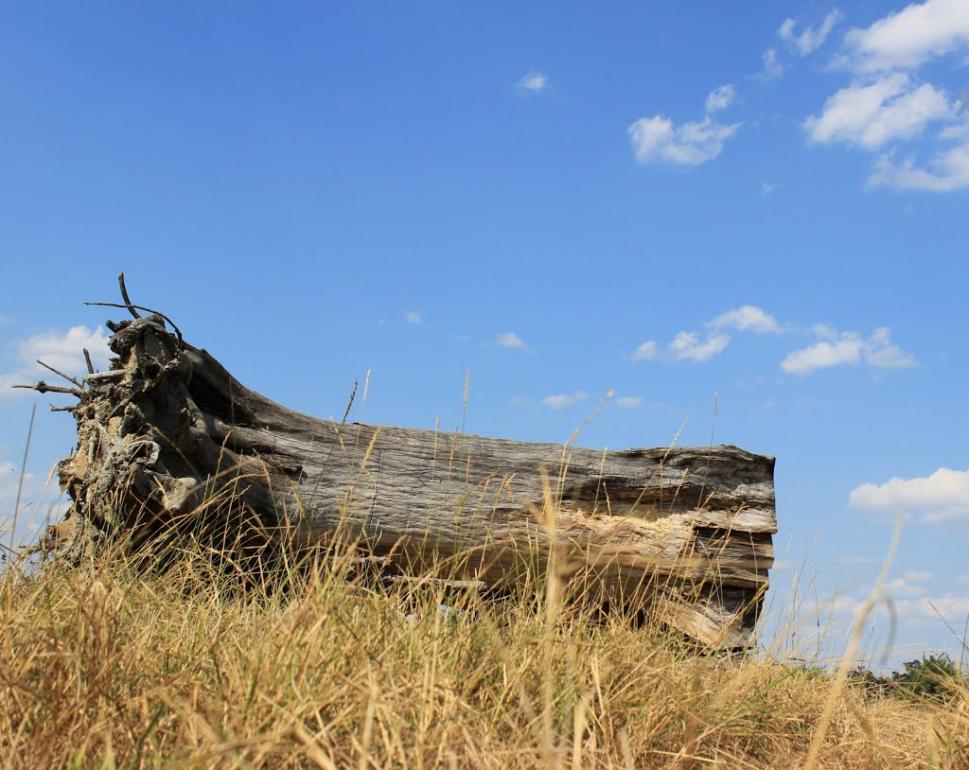 Галабор з panoramio.com - Galabor
