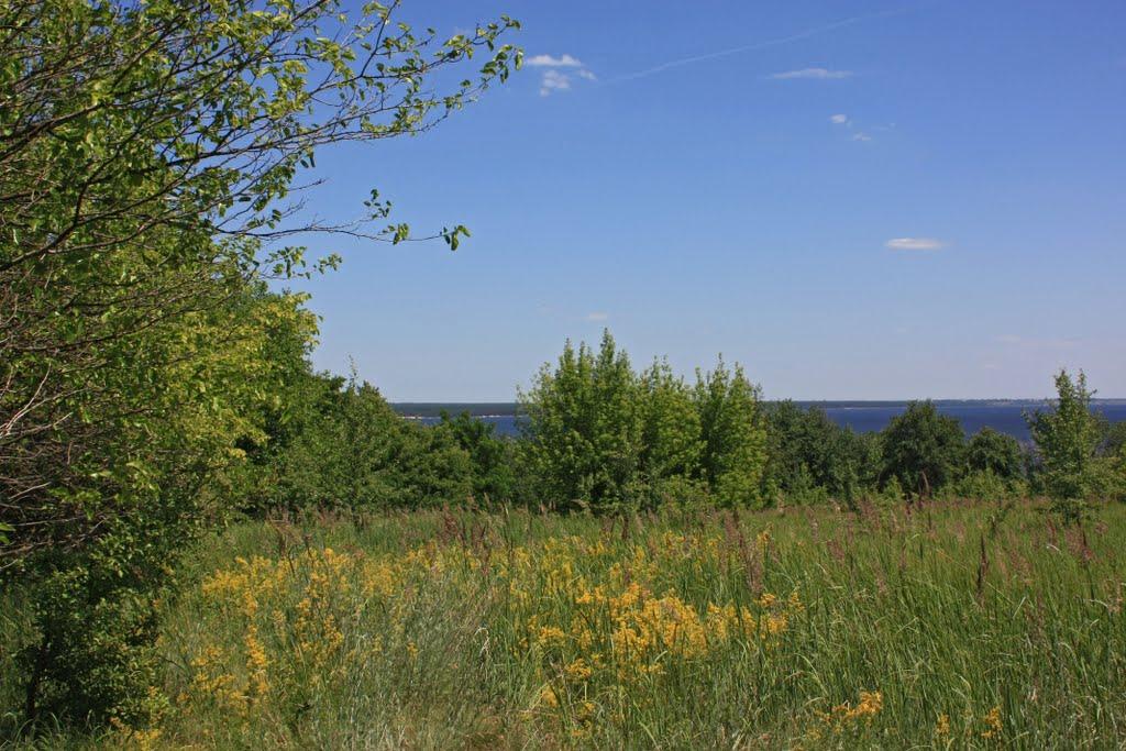 Луковиця з panoramio.com - Луковиця