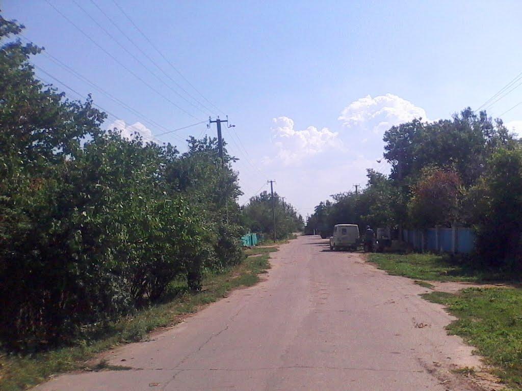 Новотимофіївка з panoramio.com - Новотимофіївка