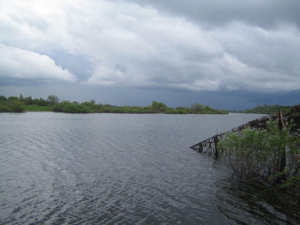 Богданівка з panoramio.com - Богданівка