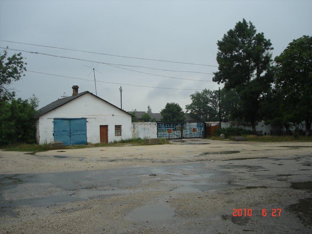 Цвіточне з panoramio.com - Цвіточне