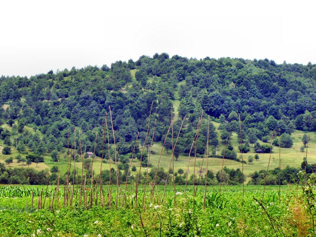 Керецьки з panoramio.com - Керецьки