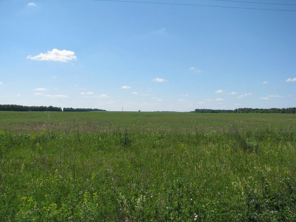 Яструбщина з panoramio.com - Яструбщина