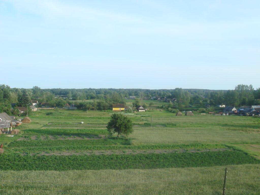 Куликовичі з panoramio.com - Куликовичі