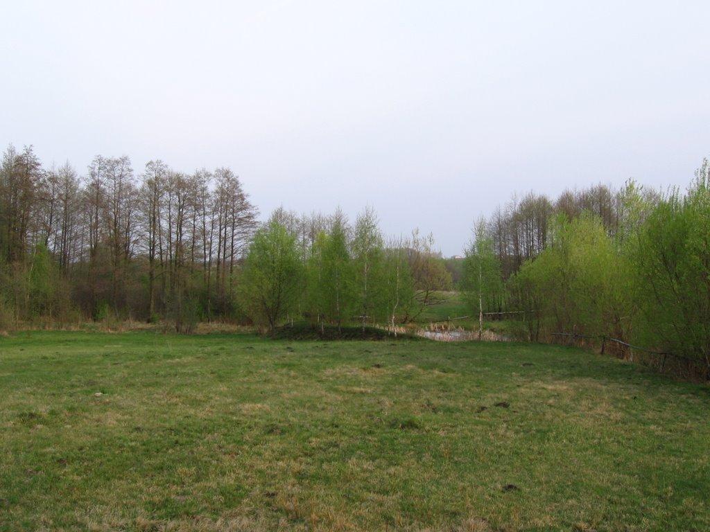 Вишевичі з panoramio.com - Вишевичі