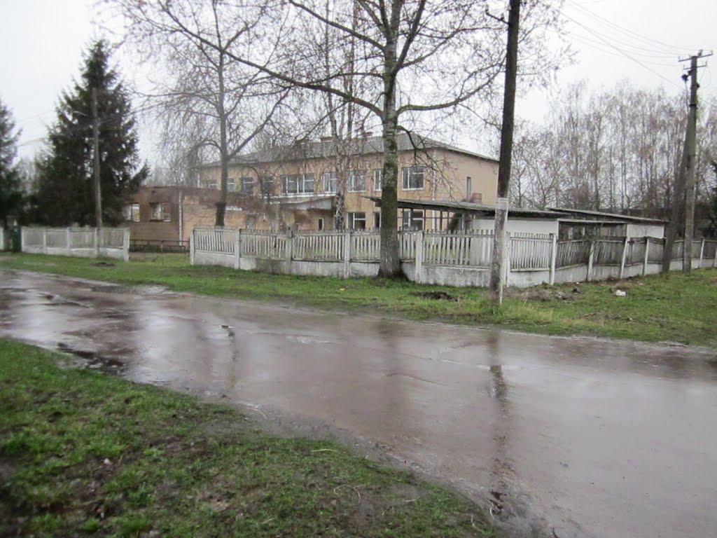 Нові Млини з panoramio.com - Новые Млины