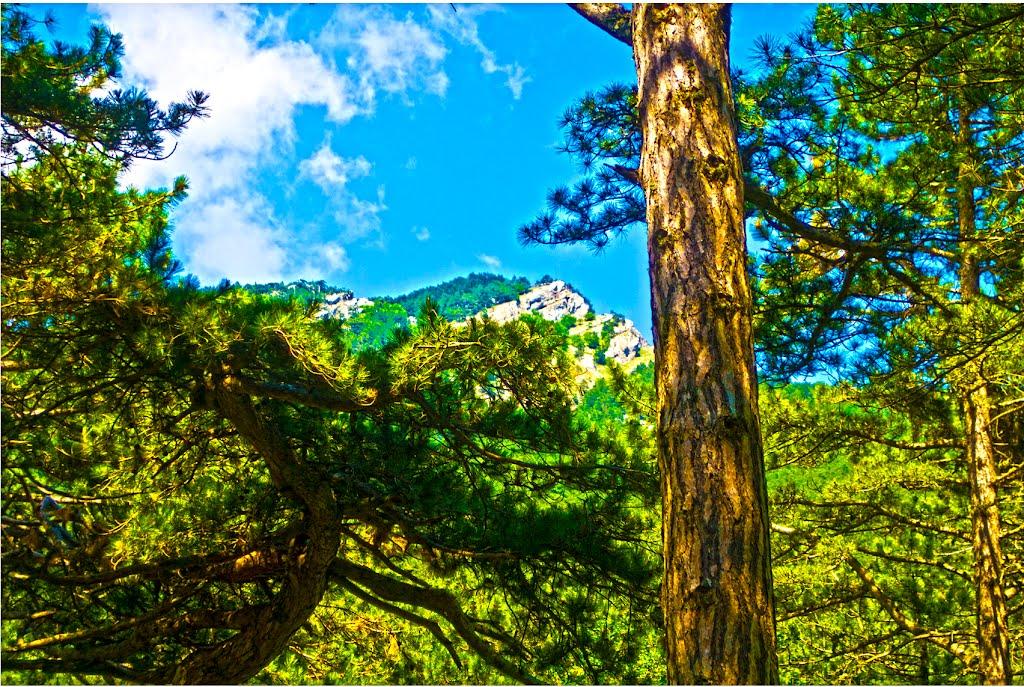 Совєтське з panoramio.com (ч.2) - Советское