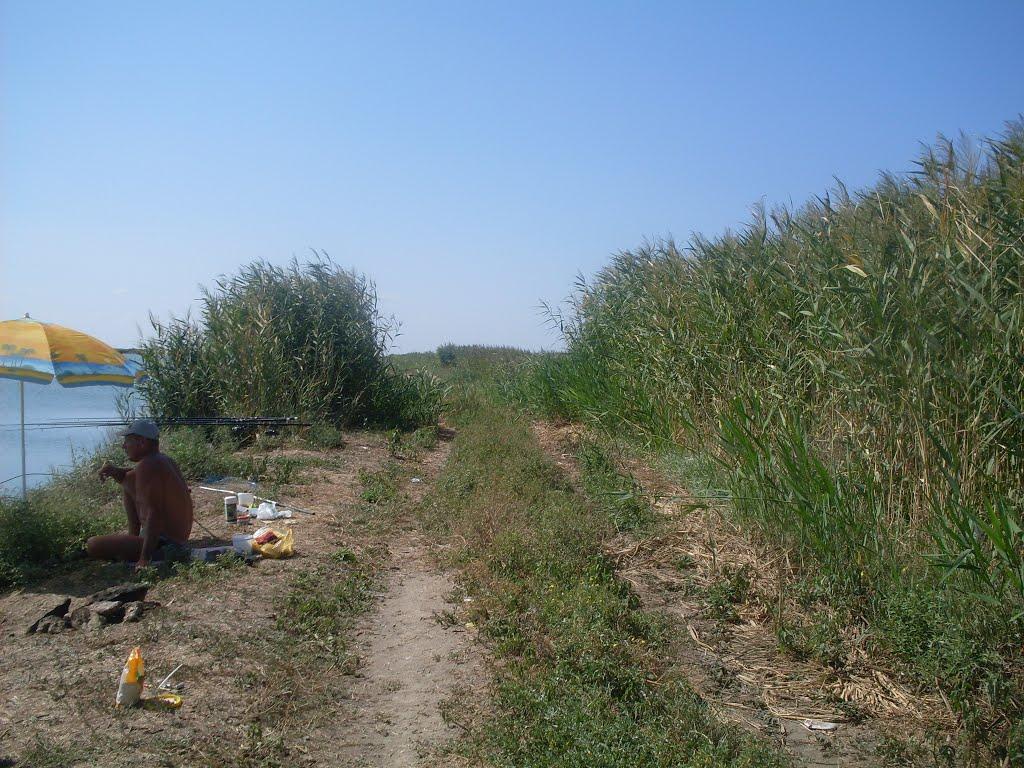 Рисове з panoramio.com - Рисовое