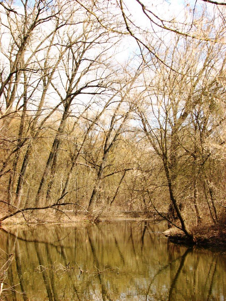 Чернігів з panoramio.com (ч.5) - Чернігів