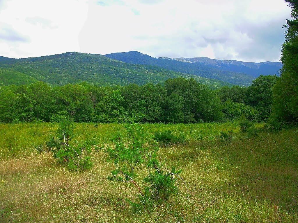 Щасливе з panoramio.com - Schaslyve