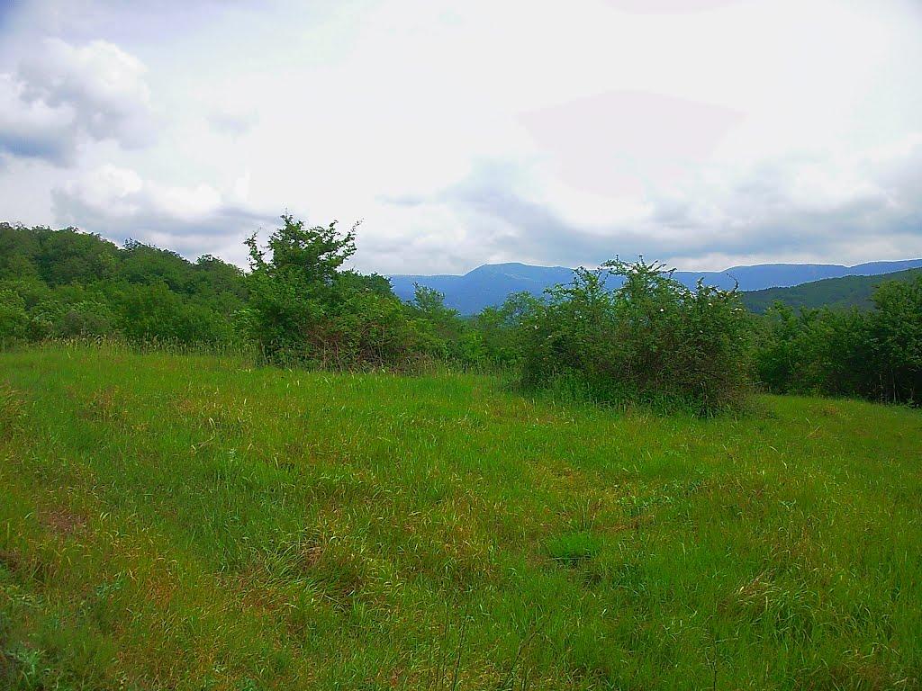 Щасливе з panoramio.com - Schaslyve