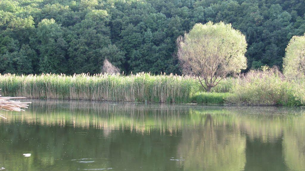 Куп'янськ-Вузловий з panoramio.com - Kupyansk-Vuzlovyy