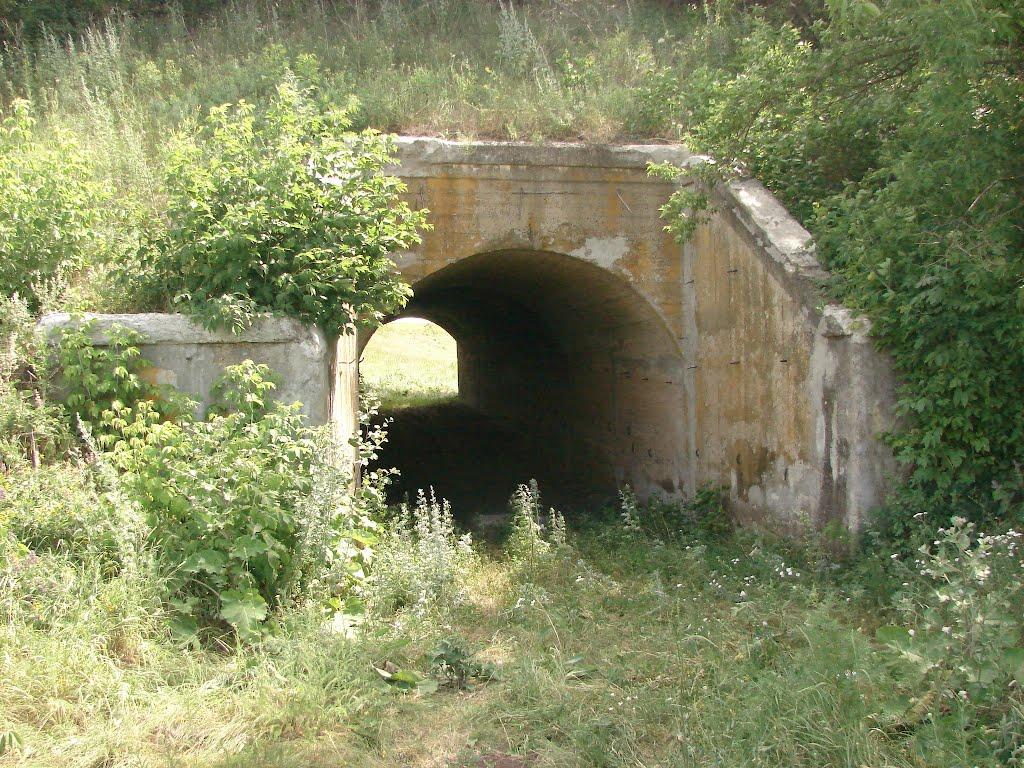 Рози Люксенбург з panoramio.com - Новое Шахово