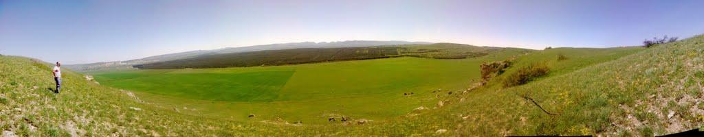 Миронівка з panoramio.com - Мироновка