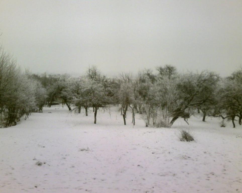 Бабин-Зарічний з panoramio.com - Бабин-Зарічний