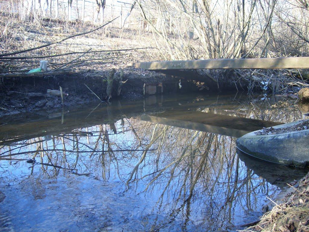 Федосіївка з panoramio.com - Федосеевка