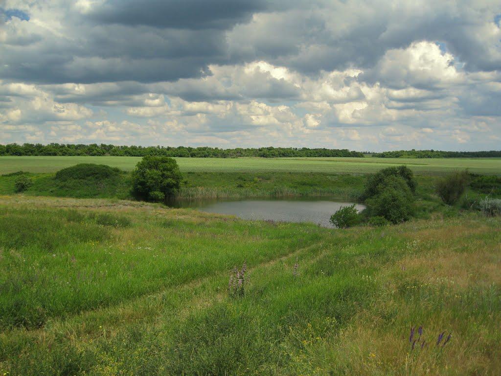 Холмисте з panoramio.com - Холмисте