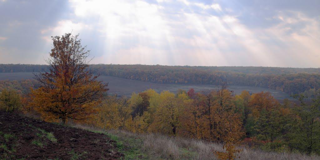 Протопопівка з panoramio.com - Протопопівка