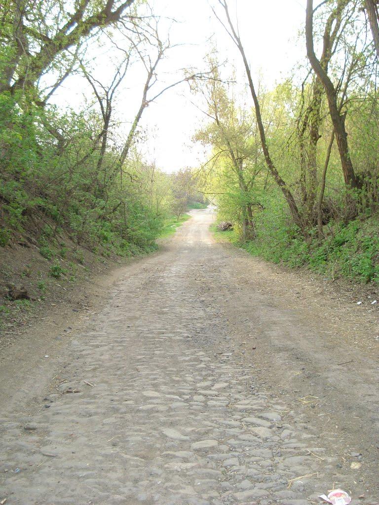 Хижня з panoramio.com - Хижня