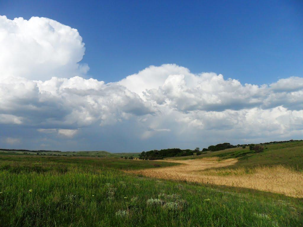 Пилипчатине з panoramio.com - Пилипчатино