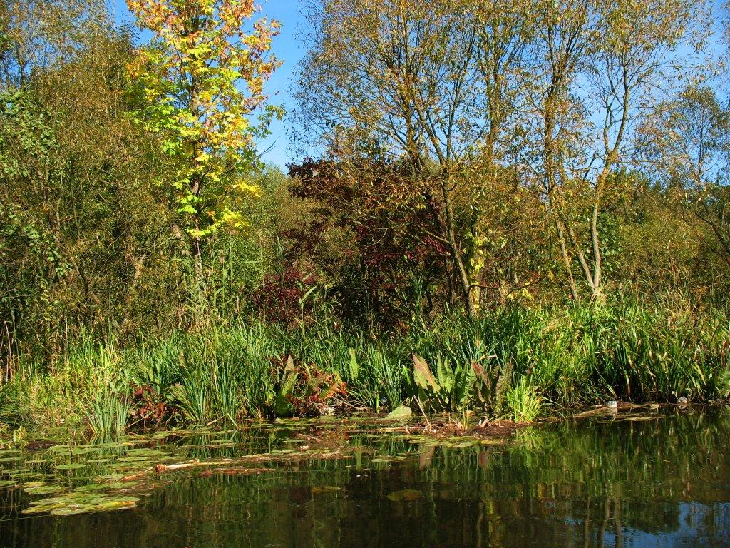 Івачів Горішній з panoramio.com - Ивачев Горишний