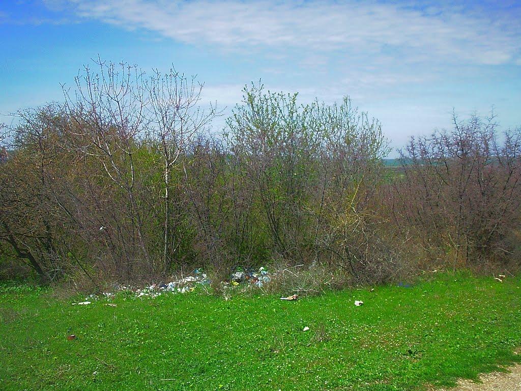 Приятне Свідання з panoramio.com - Приятне Свідання