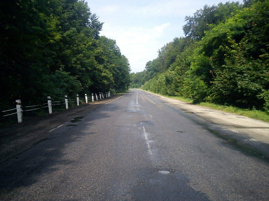 Надорожнів з panoramio.com - Надорожнів