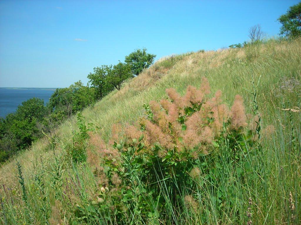 Градизьк з panoramio.com - Градижск