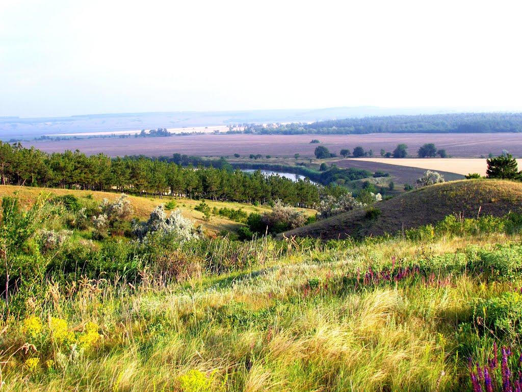 Заградівка з panoramio.com - Заградовка