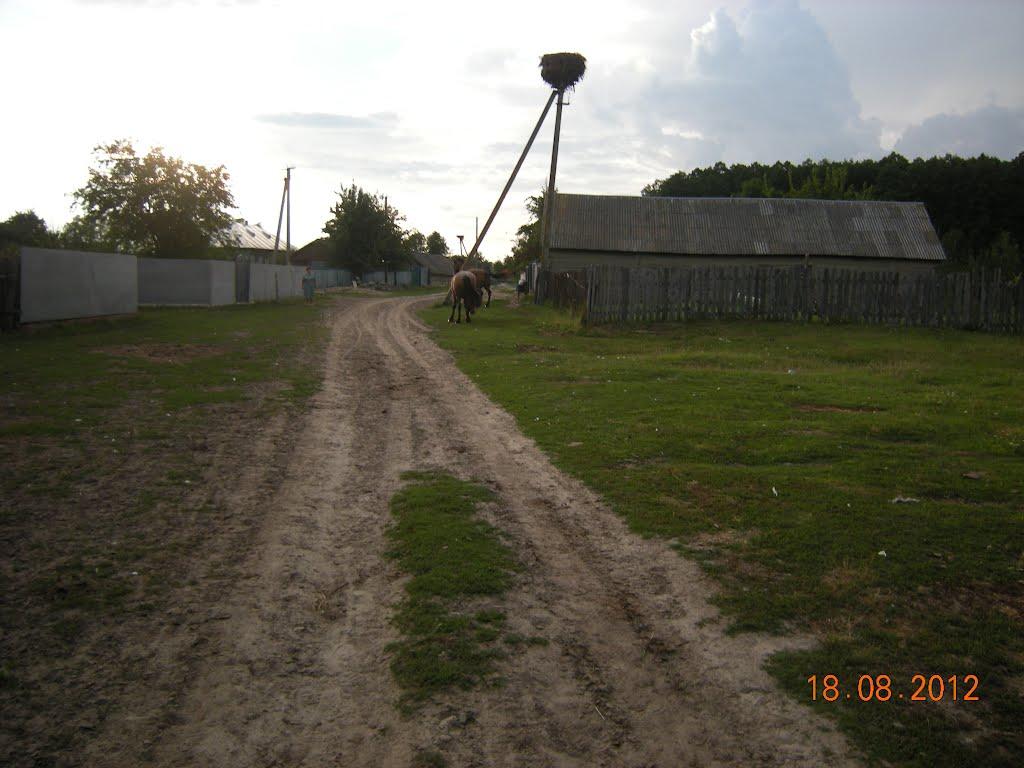 Любитове з panoramio.com - Любитово