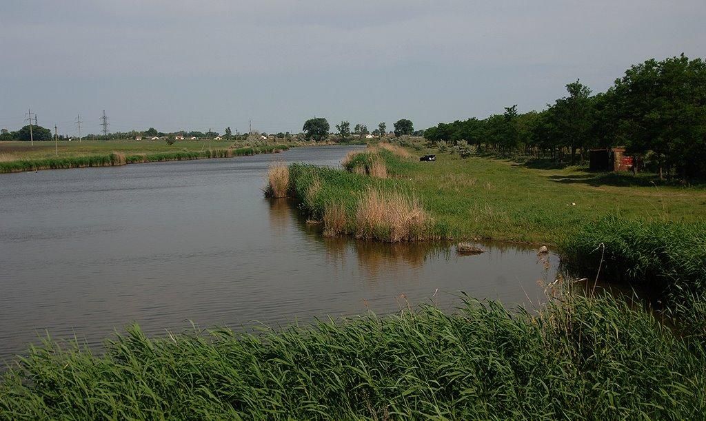 Мала Білозерка з panoramio.com - Малая Белозерка