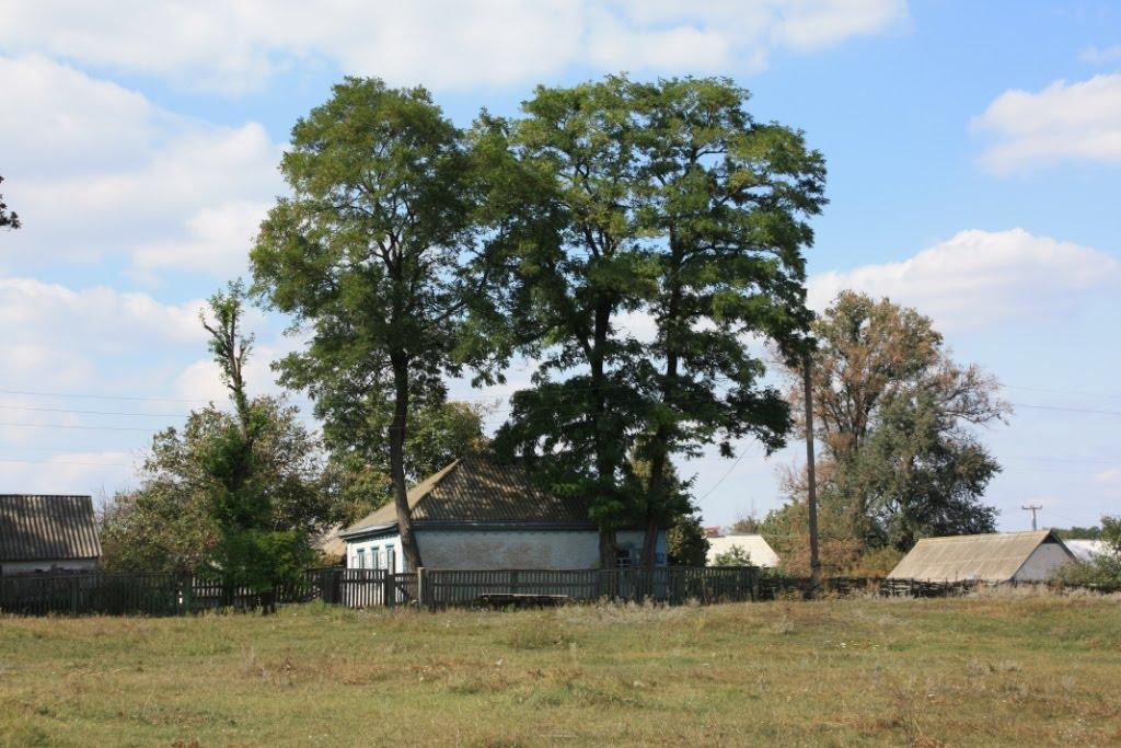 Малі Канівці з panoramio.com - Малі Канівці