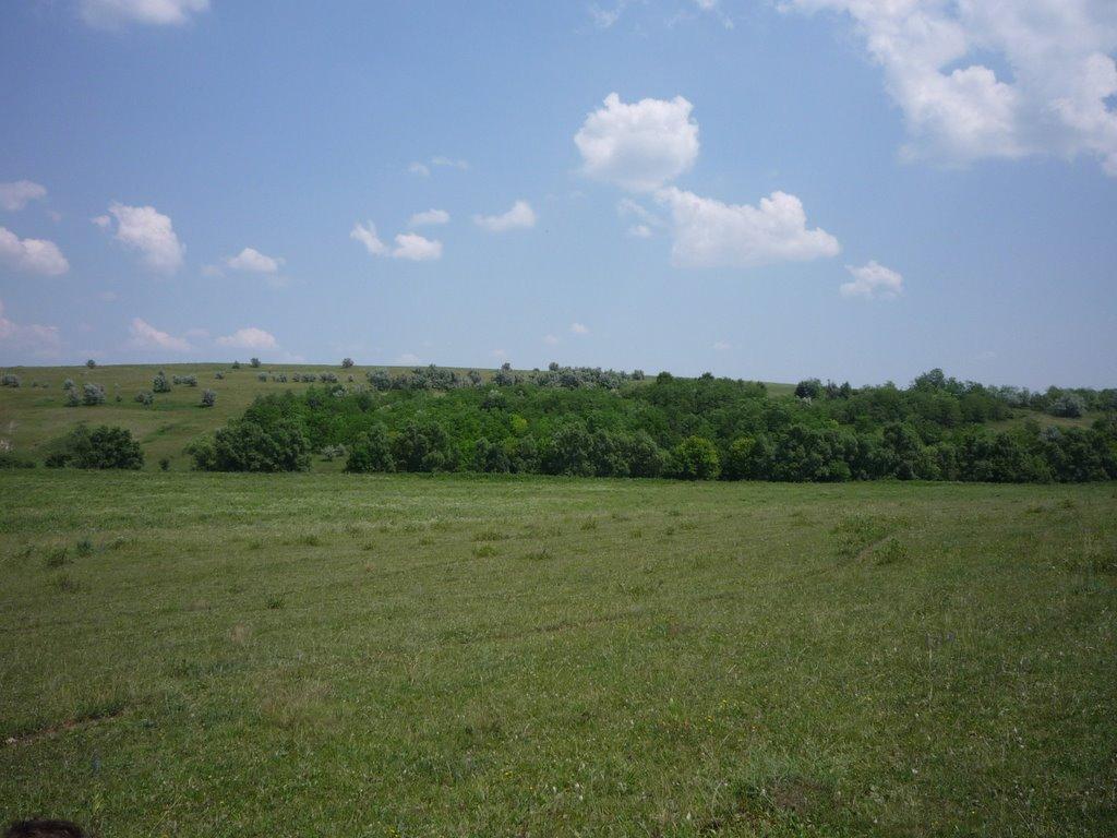 Білівці з panoramio.com - Bilivtsi