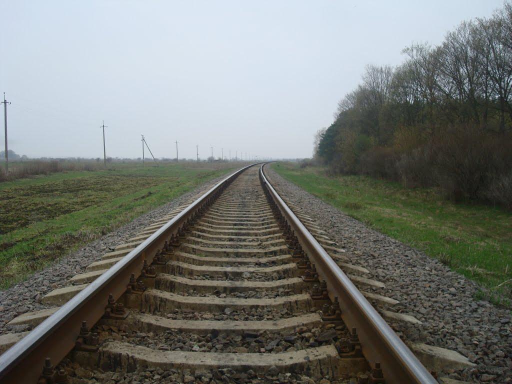 Оріхівка з panoramio.com - Ореховка