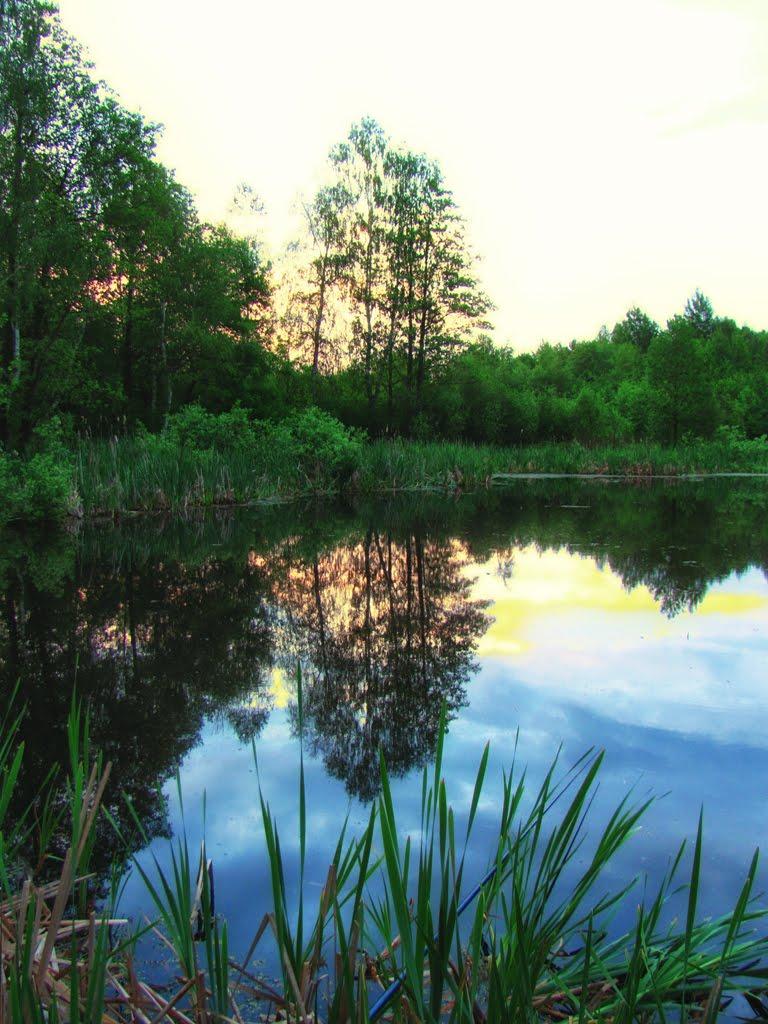 Полянка з panoramio.com - Полянка
