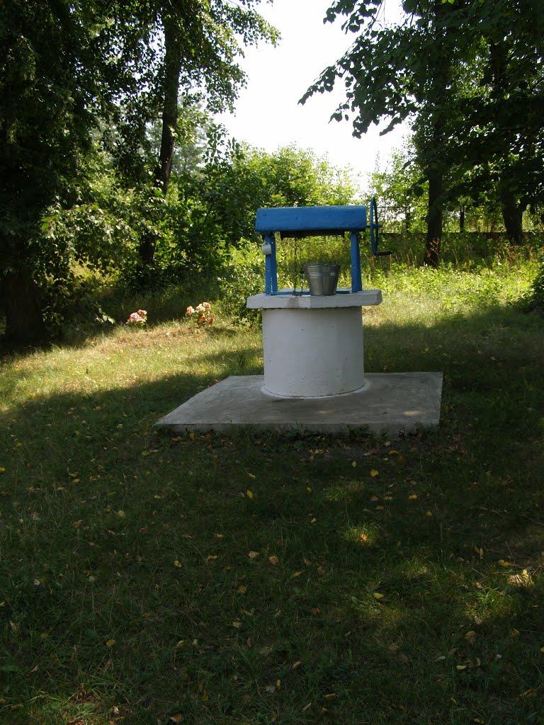 Велика Мочулка з panoramio.com - Велика Мочулка