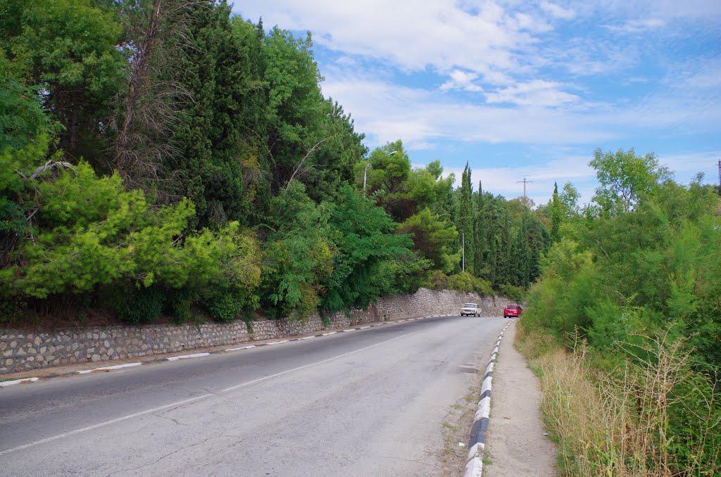 Запрудне з panoramio.com - Запрудне
