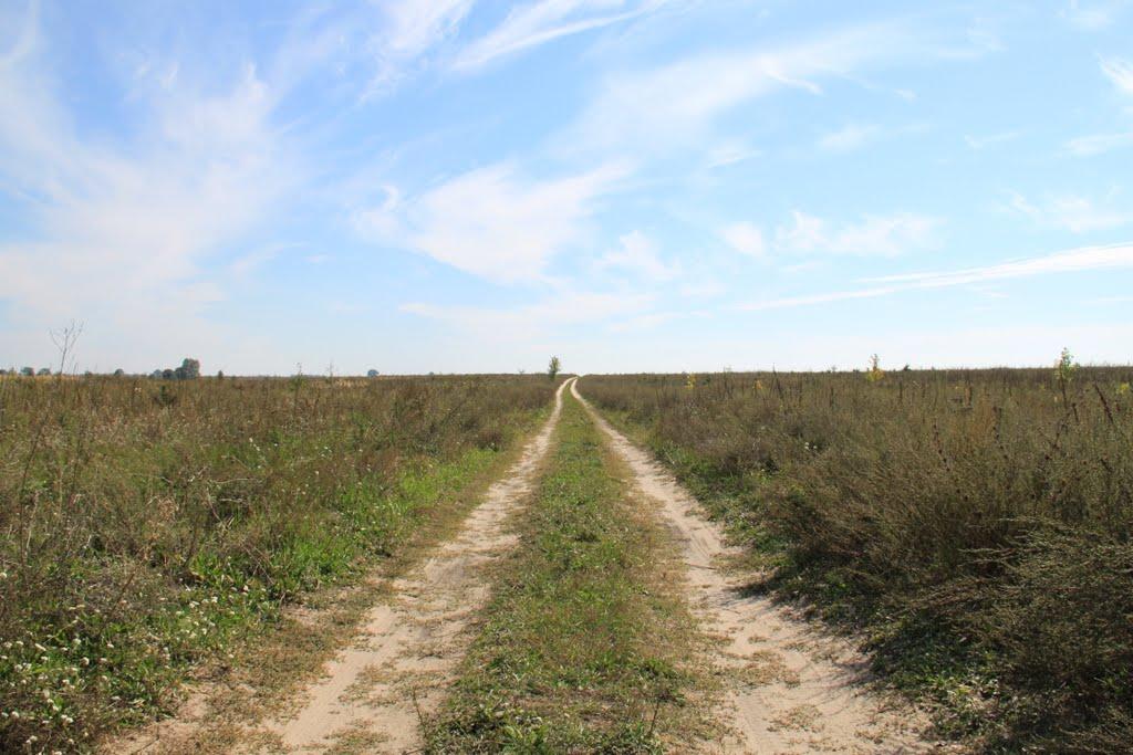 Савин з panoramio.com - Савин