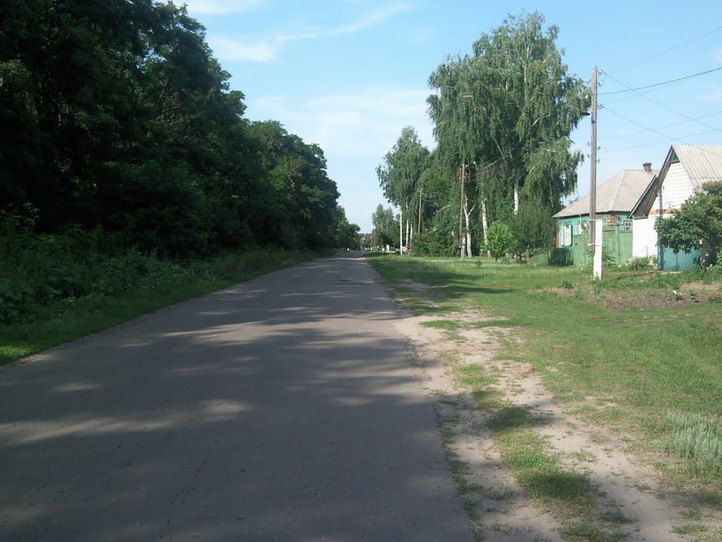 Довжик з panoramio.com - Dovzhyk