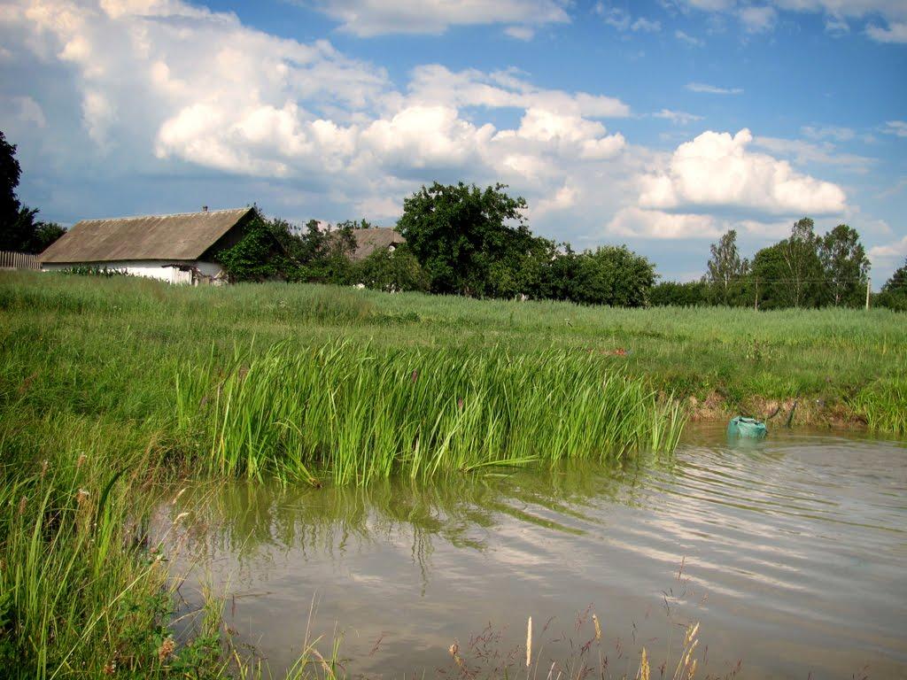 Полянка з panoramio.com - Полянка