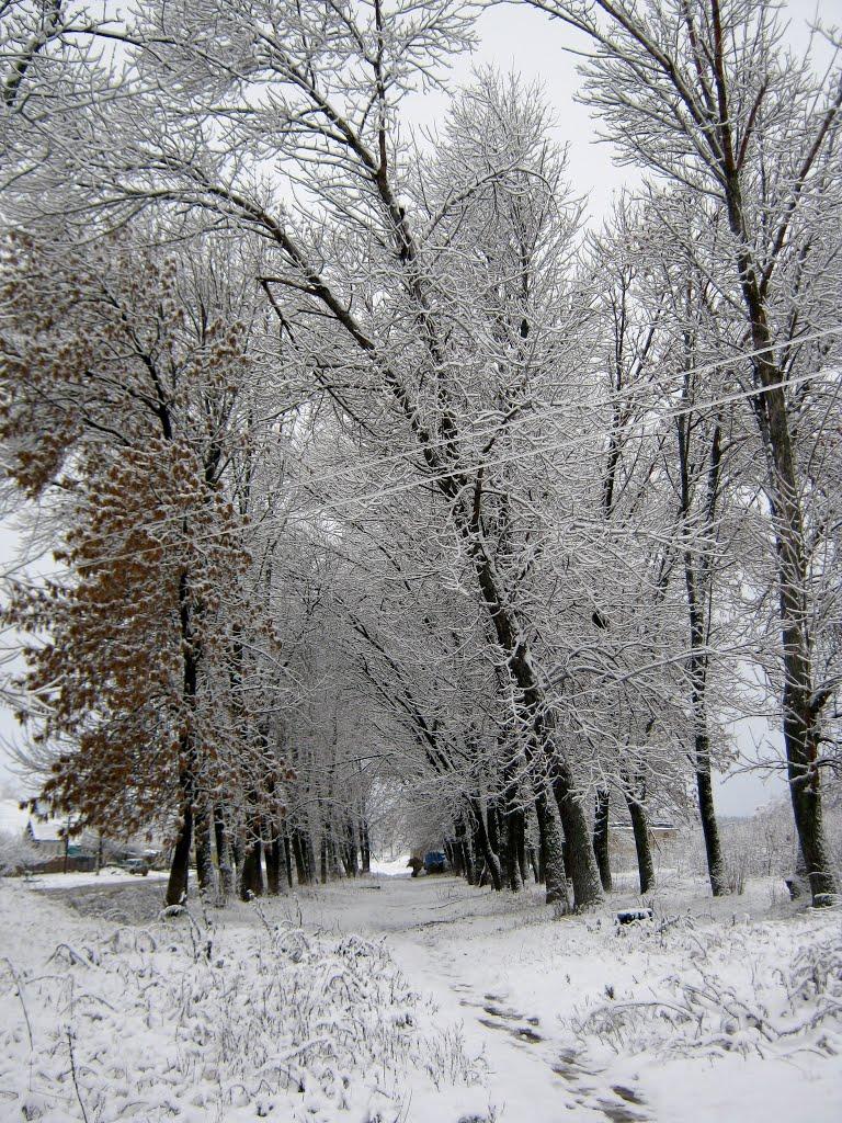 Довжик з panoramio.com - Довжик