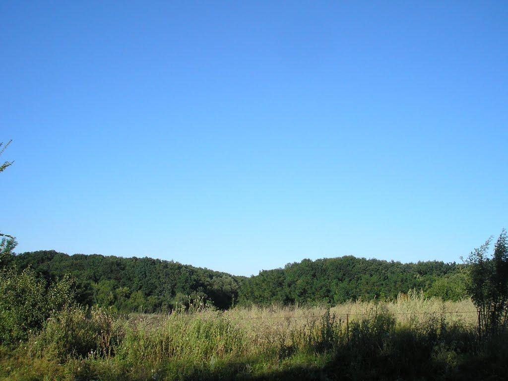 Мала Помічна з panoramio.com - Мала Помічна