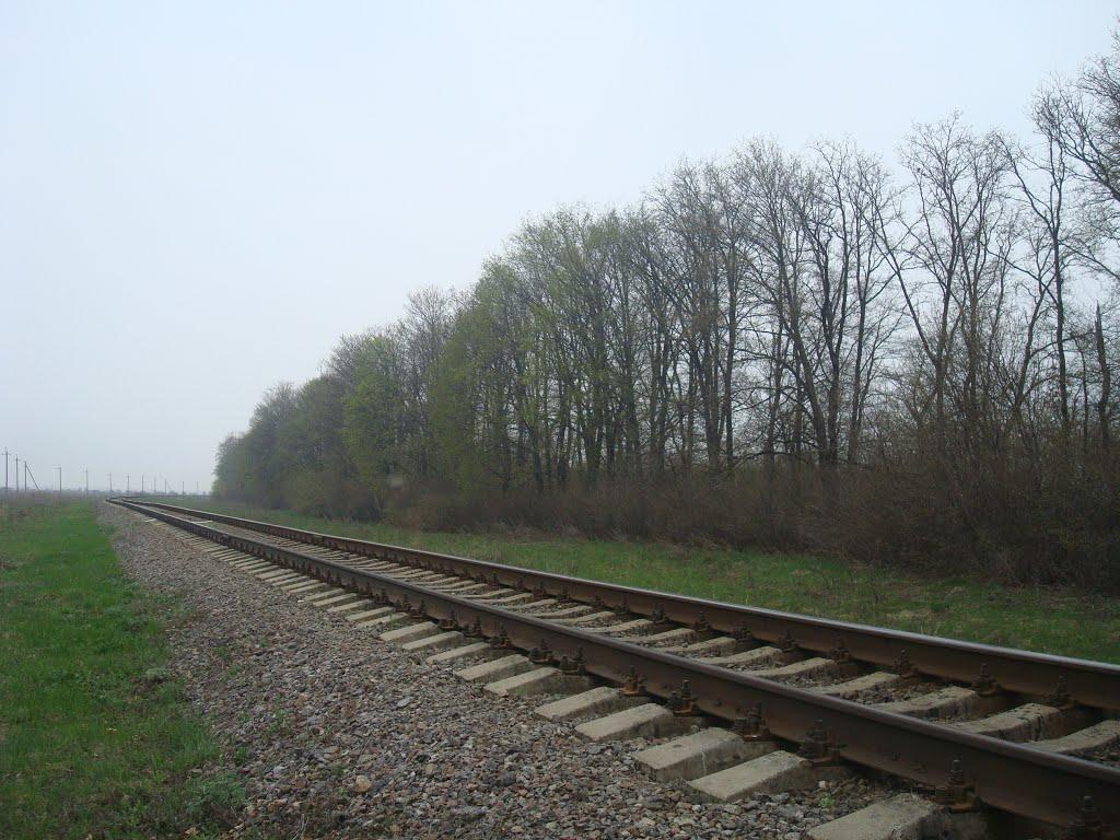 Грибенинка з panoramio.com - Грибенинка