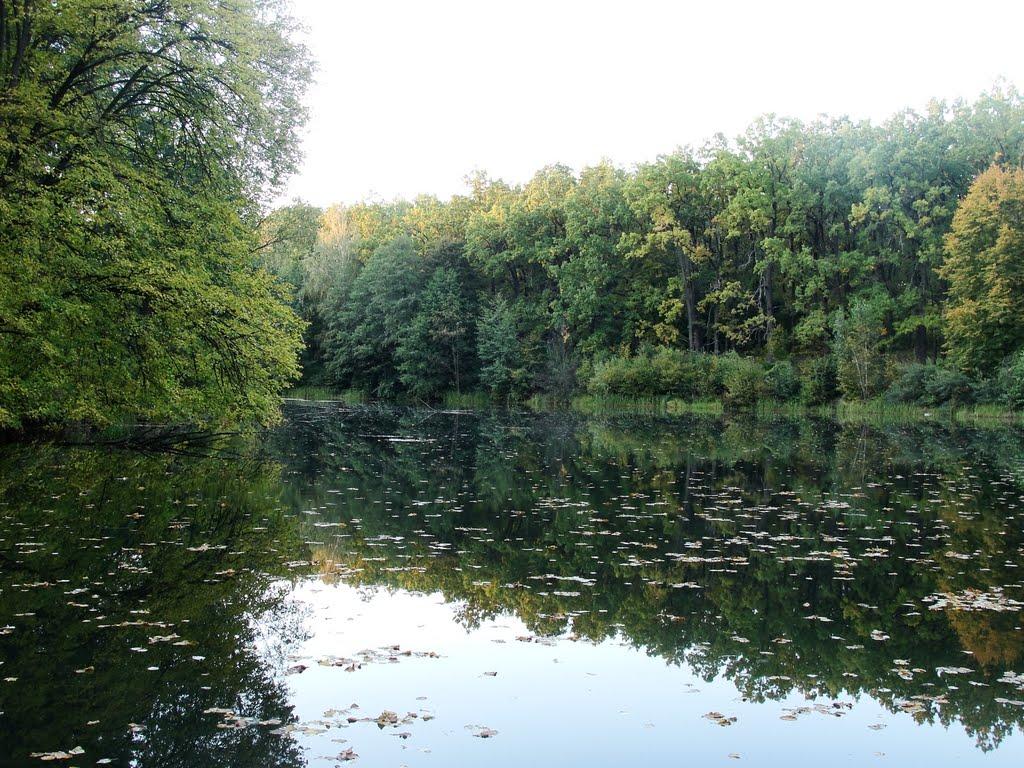 Кмитів з panoramio.com - Кмитів