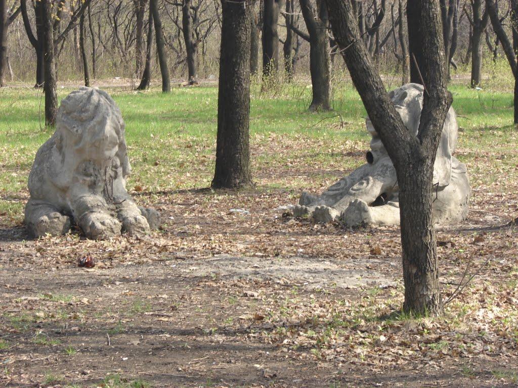 Добропілля з panoramio.com - Доброполье